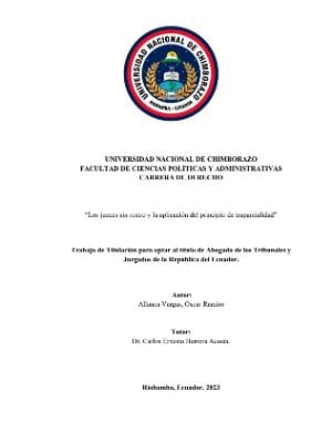 Portada del documento Los jueces sin rostro y la aplicación del principio de imparcialidad