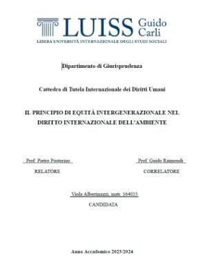 Portada del documento Il principio di equità intergenerazionale nel diritto internazionale dell’ambiente
