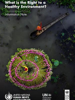 Portada del documento What is the right to a healthy environment?