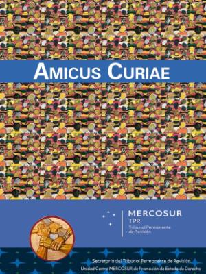 Portada del documento Amicus Curiae