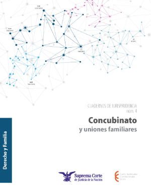 Portada de Concubinato y uniones familiares