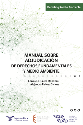 Portada de Manual sobre la adjudicación de derechos fundamentales y medio ambiente