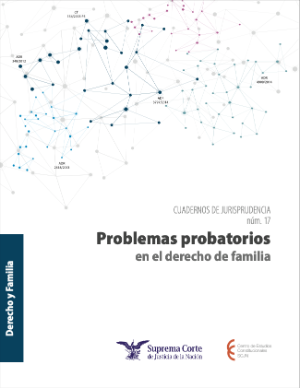 Portada de Problemas probatorios en el derecho de familia