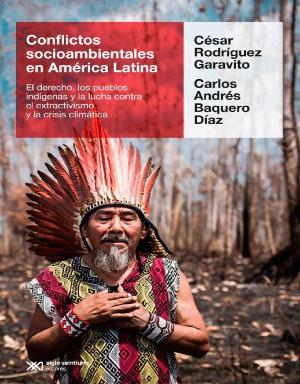 Portada de Conflictos socioambientales en América Latina: El derecho, los pueblos indígenas y la lucha contra el extractivismo y la crisis climática 