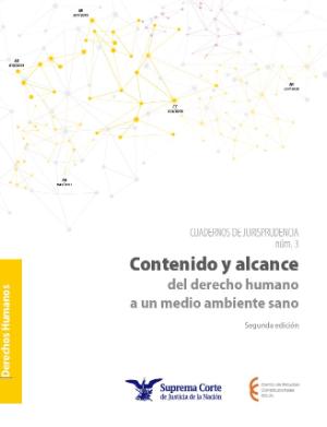 Portada de Contenido y alcance del derecho humano a un medio ambiente sano