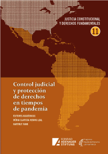 Portada de Control judicial y protección de derechos en tiempos de pandemia