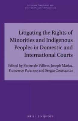 Portada de Litigating the rights of minorities and indigenous peoples in domestic and international courts