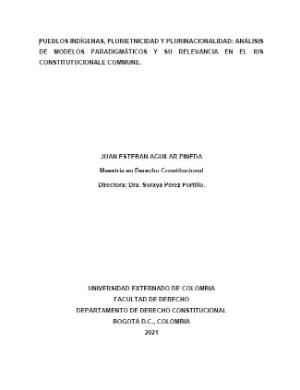 Portada de Pueblos indígenas, plurietnicidad y plurinacionalidad: Análisis de modelos paradigmáticos y su relevancia en el Ius Constitutucionale Commune