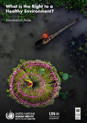 Portada de What is the right to a healthy environment?